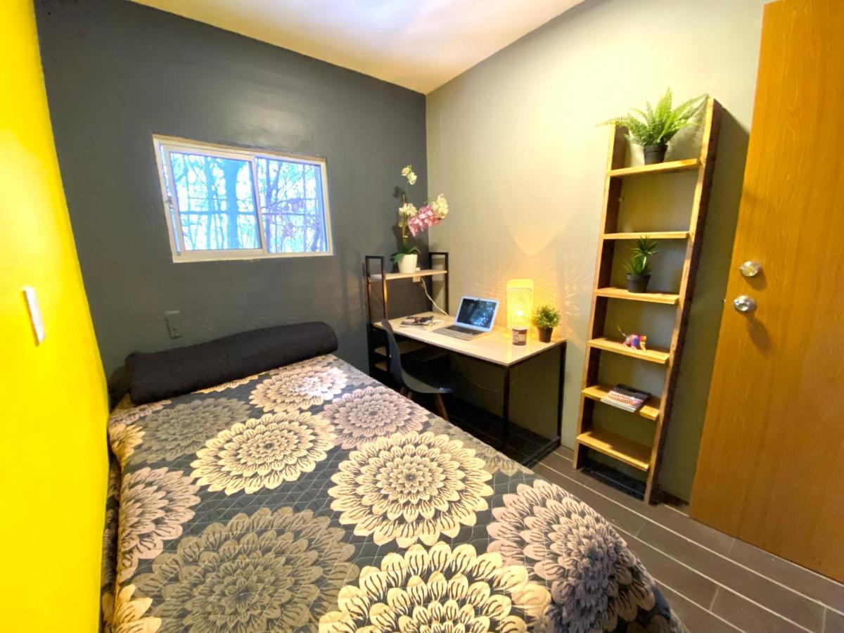 מקסיקו סיטי Roomies Hostel - Santa Maria La Ribera מראה חיצוני תמונה