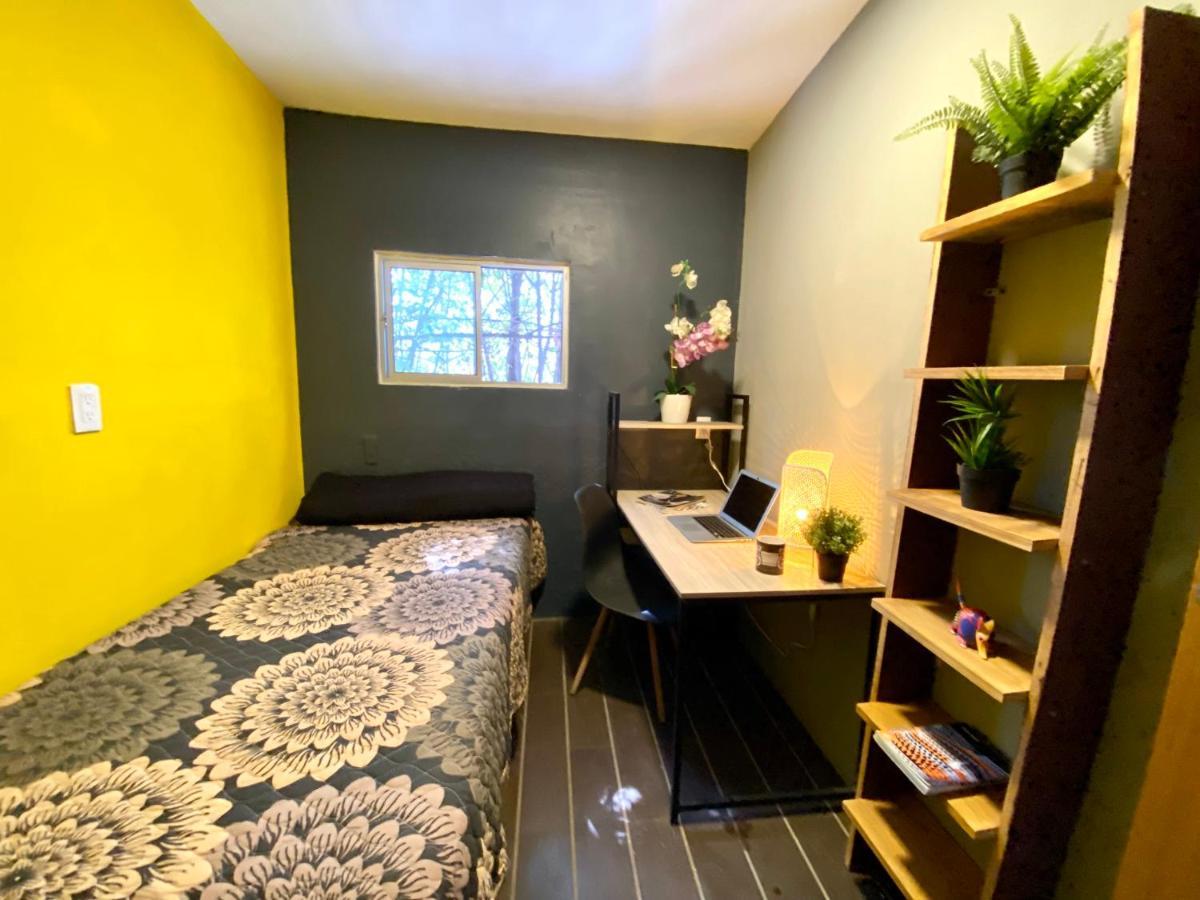 מקסיקו סיטי Roomies Hostel - Santa Maria La Ribera מראה חיצוני תמונה
